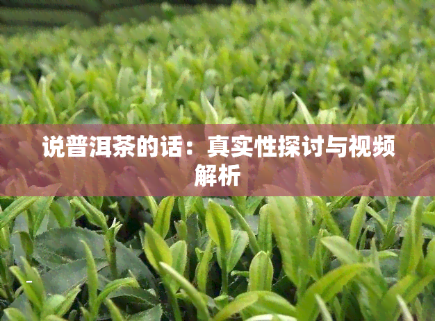 说普洱茶的话：真实性探讨与视频解析