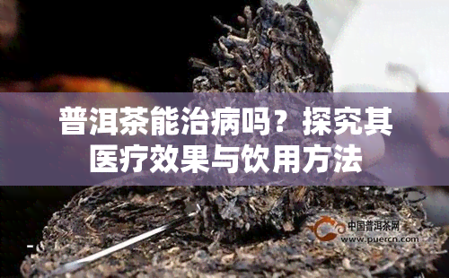 普洱茶能治病吗？探究其医疗效果与饮用方法