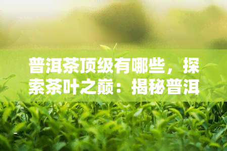 普洱茶顶级有哪些，探索茶叶之巅：揭秘普洱茶顶级