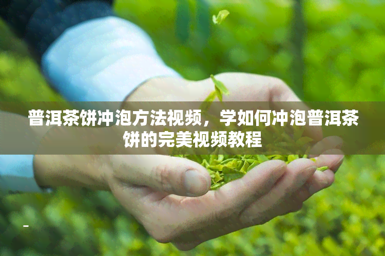 普洱茶饼冲泡方法视频，学如何冲泡普洱茶饼的完美视频教程