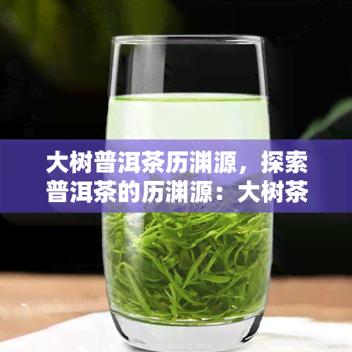 大树普洱茶历渊源，探索普洱茶的历渊源：大树茶的故事