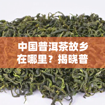 中国普洱茶故乡在哪里？揭晓普洱茶的起源地！