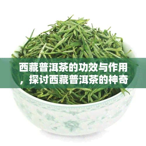  *** 普洱茶的功效与作用，探讨 *** 普洱茶的神奇功效与作用