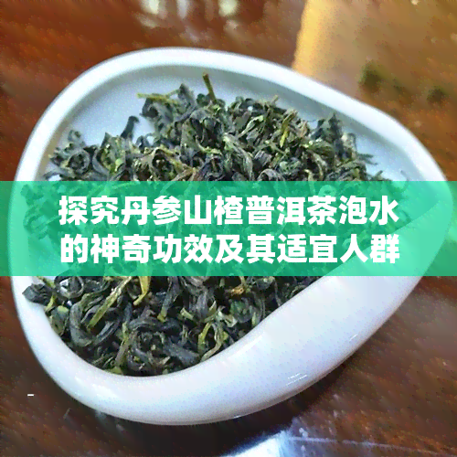 探究丹参山楂普洱茶泡水的神奇功效及其适宜人群