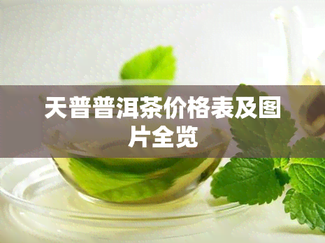 天普普洱茶价格表及图片全览