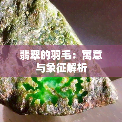 翡翠的羽毛：寓意与象征解析