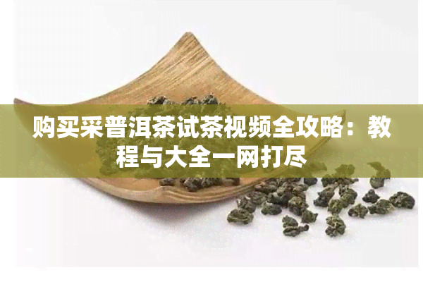 购买采普洱茶试茶视频全攻略：教程与大全一网打尽