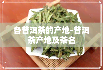 各普洱茶的产地-普洱茶产地及茶名