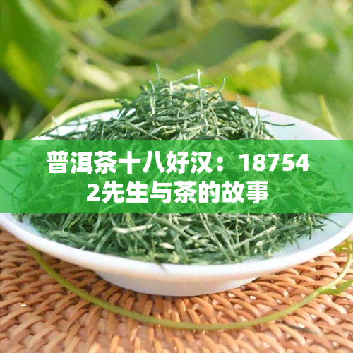 普洱茶十八好汉：187542先生与茶的故事