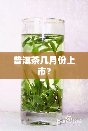 普洱茶几月份上市？