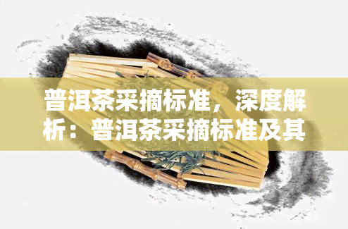 普洱茶采摘标准，深度解析：普洱茶采摘标准及其重要性