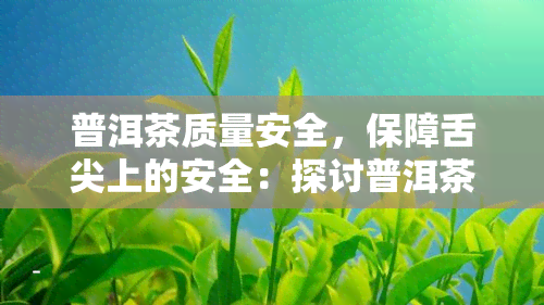 普洱茶质量安全，保障舌尖上的安全：探讨普洱茶的质量问题与解决方案