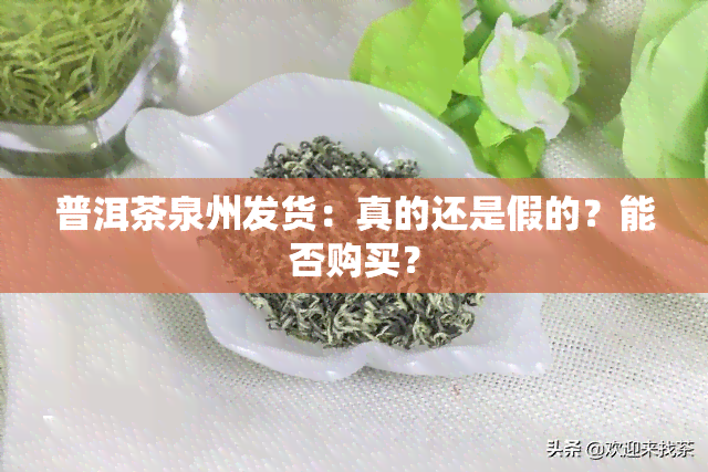 普洱茶泉州发货：真的还是假的？能否购买？