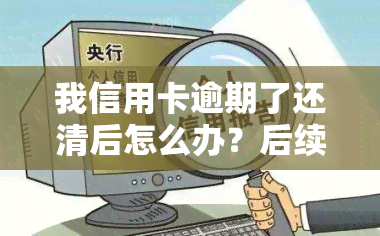 我信用卡逾期了还清后怎么办？后续操作指南