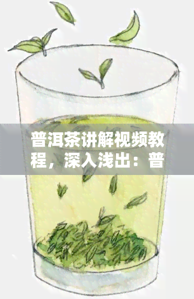 普洱茶讲解视频教程，深入浅出：普洱茶的讲解视频教程