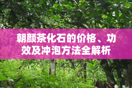 朝颜茶化石的价格、功效及冲泡方法全解析