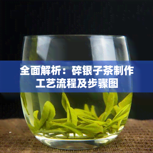 全面解析：碎银子茶制作工艺流程及步骤图