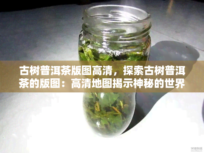 古树普洱茶版图高清，探索古树普洱茶的版图：高清地图揭示神秘的世界