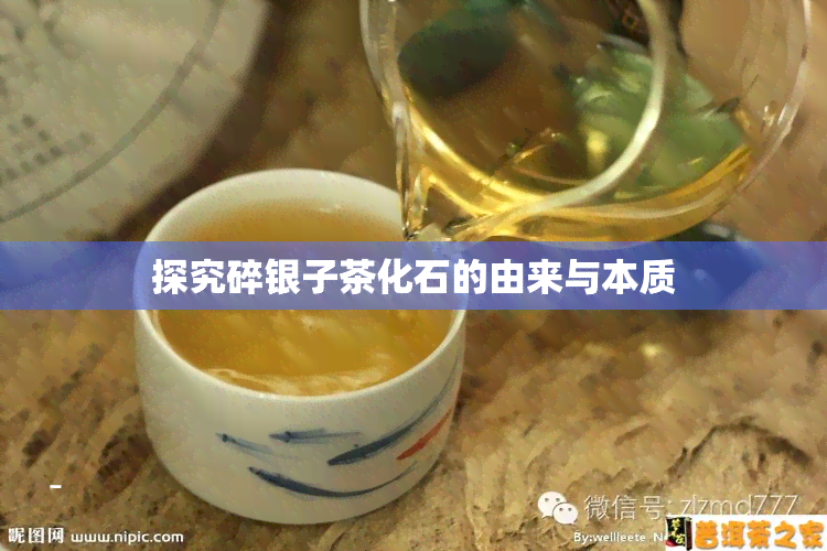 探究碎银子茶化石的由来与本质