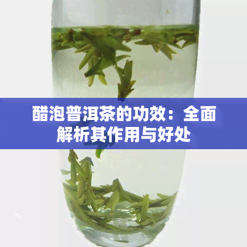 醋泡普洱茶的功效：全面解析其作用与好处