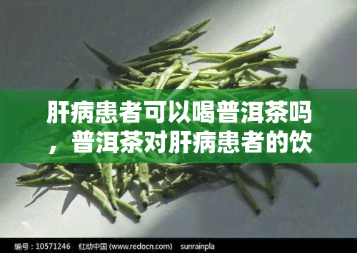 肝病患者可以喝普洱茶吗，普洱茶对肝病患者的饮用建议