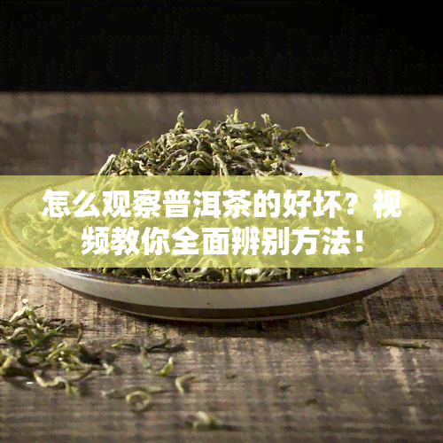 怎么观察普洱茶的好坏？视频教你全面辨别方法！