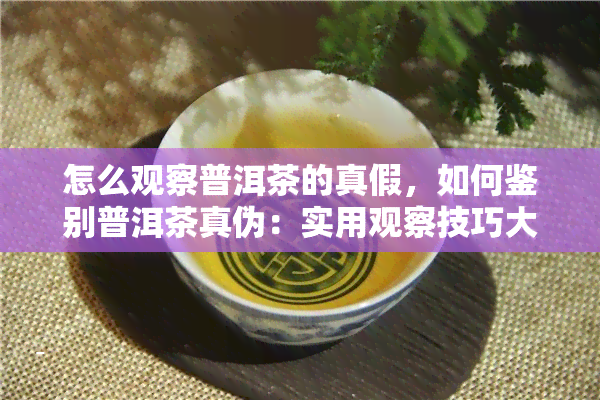 怎么观察普洱茶的真假，如何鉴别普洱茶真伪：实用观察技巧大揭秘