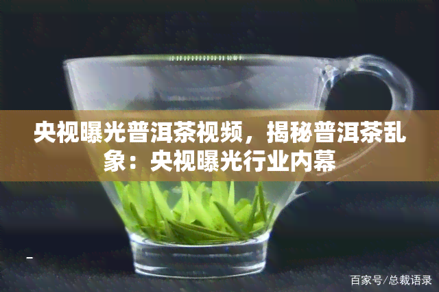 央视曝光普洱茶视频，揭秘普洱茶乱象：央视曝光行业内幕