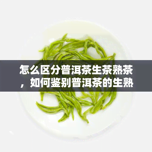 怎么区分普洱茶生茶熟茶，如何鉴别普洱茶的生熟？看这一篇就够了！