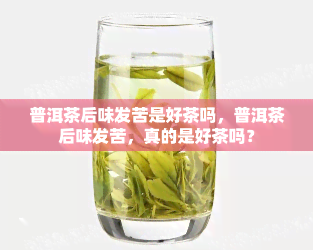 普洱茶后味发苦是好茶吗，普洱茶后味发苦，真的是好茶吗？