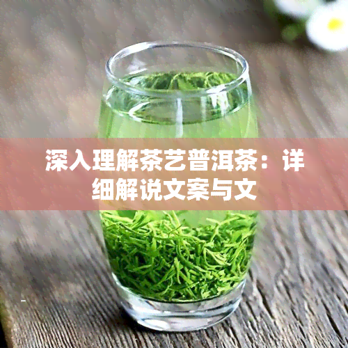 深入理解茶艺普洱茶：详细解说文案与文