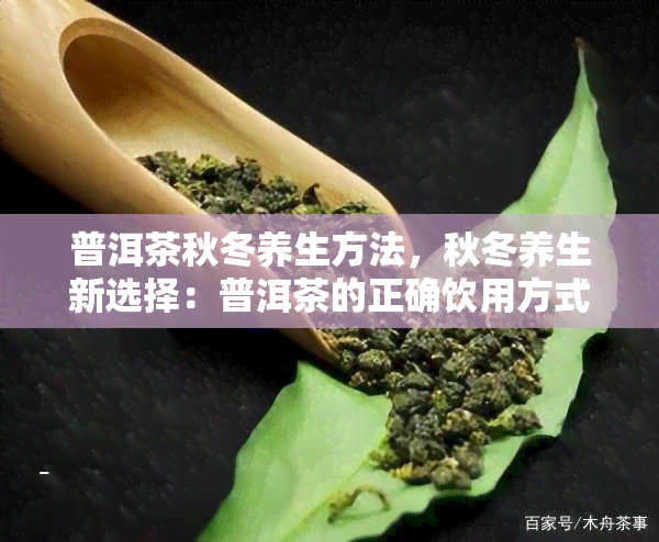 普洱茶秋冬养生方法，秋冬养生新选择：普洱茶的正确饮用方式与功效