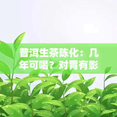 普洱生茶陈化：几年可喝？对胃有影响吗？