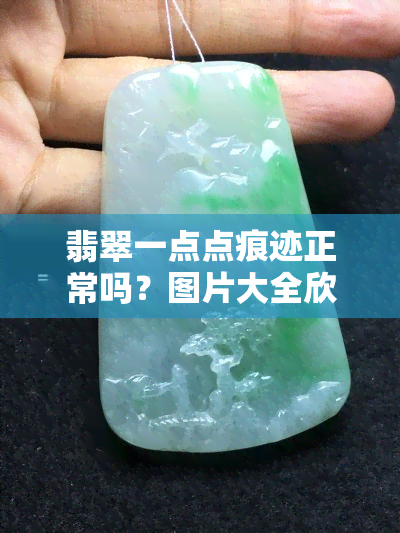 翡翠一点点痕迹正常吗？图片大全欣赏