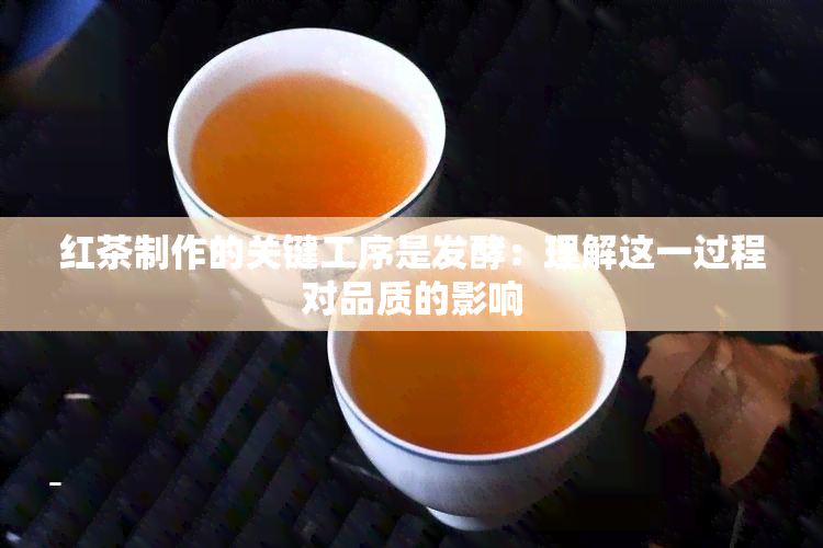 红茶制作的关键工序是发酵：理解这一过程对品质的影响