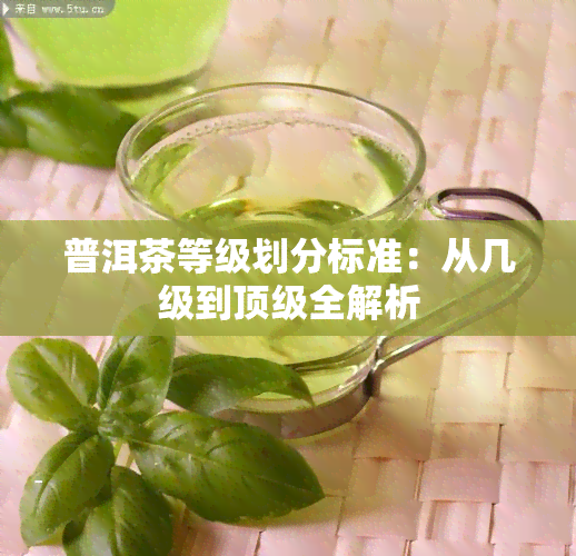 普洱茶等级划分标准：从几级到顶级全解析