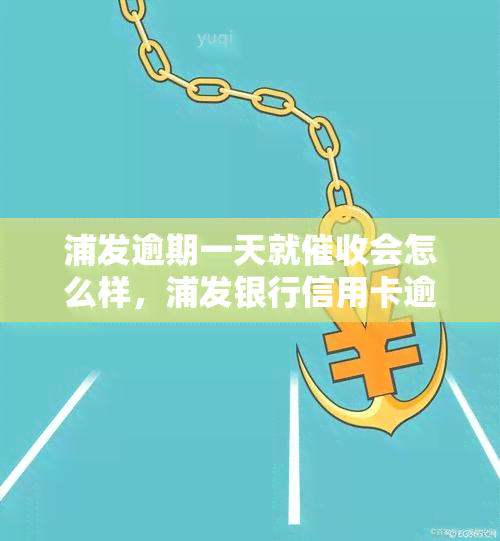 浦发逾期一天就会怎么样，浦发银行信用卡逾期一天会有怎样的方式？