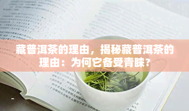 藏普洱茶的理由，揭秘藏普洱茶的理由：为何它备受青睐？