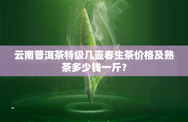 云南普洱茶特级几壶春生茶价格及熟茶多少钱一斤？