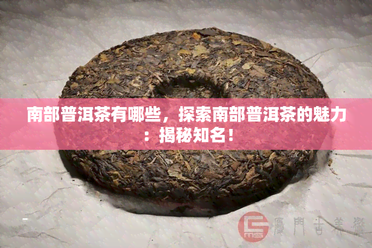 南部普洱茶有哪些，探索南部普洱茶的魅力：揭秘知名！