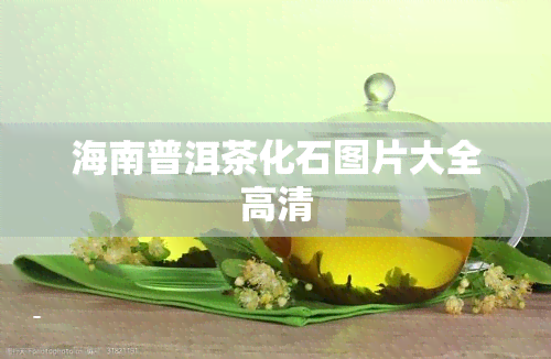 海南普洱茶化石图片大全高清