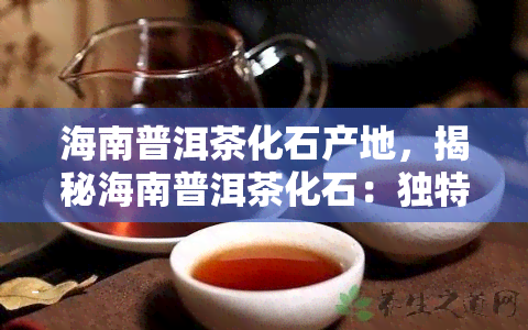 海南普洱茶化石产地，揭秘海南普洱茶化石：独特产地带来的口感与价值