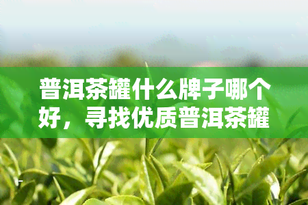 普洱茶罐什么牌子哪个好，寻找优质普洱茶罐？看这里！