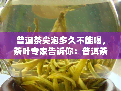 普洱茶尖泡多久不能喝，茶叶专家告诉你：普洱茶尖泡多久就不能再喝了？