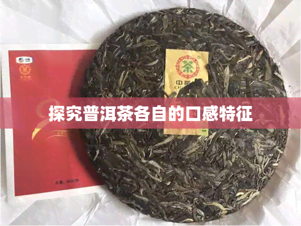 探究普洱茶各自的口感特征