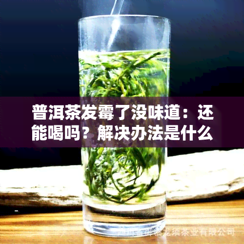 普洱茶发霉了没味道：还能喝吗？解决办法是什么？