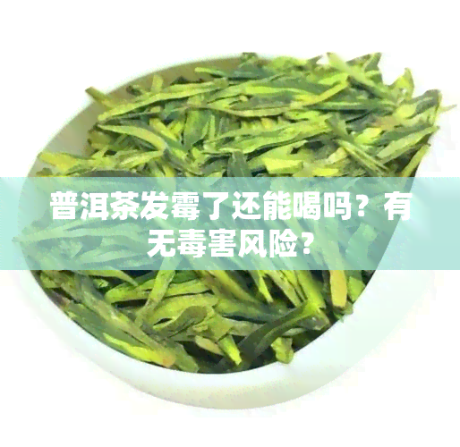 普洱茶发霉了还能喝吗？有无害风险？