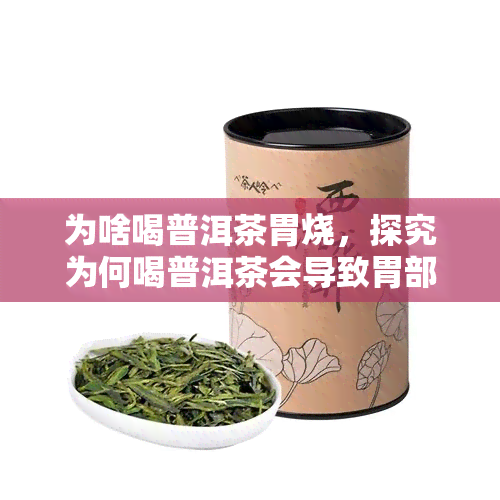 为啥喝普洱茶胃烧，探究为何喝普洱茶会导致胃部不适？