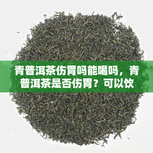 青普洱茶伤胃吗能喝吗，青普洱茶是否伤胃？可以饮用吗？