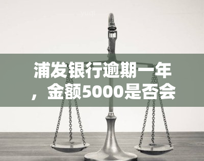 浦发银行逾期一年，金额5000是否会被起诉？